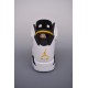 (Free Shipping)Jordan 6 Retro Yellow Ochre CT8529-170