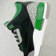 (Free Shipping)Air Jordan 3 Retro Pine Green Cement Grey Black CT8532-030