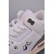 (Free Shipping)Jordan 3 Retro Neapolitan Dark Mocha (W) CK9246-102