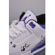 (Free Shipping)Jordan 3 Retro Dark Iris CT8532-105